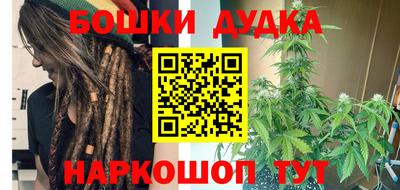 стаф Кингисепп