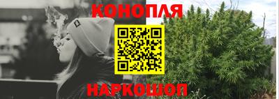 стаф Кингисепп