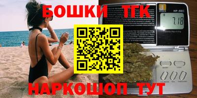 стаф Кингисепп