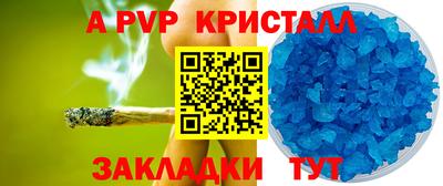 стаф Кингисепп